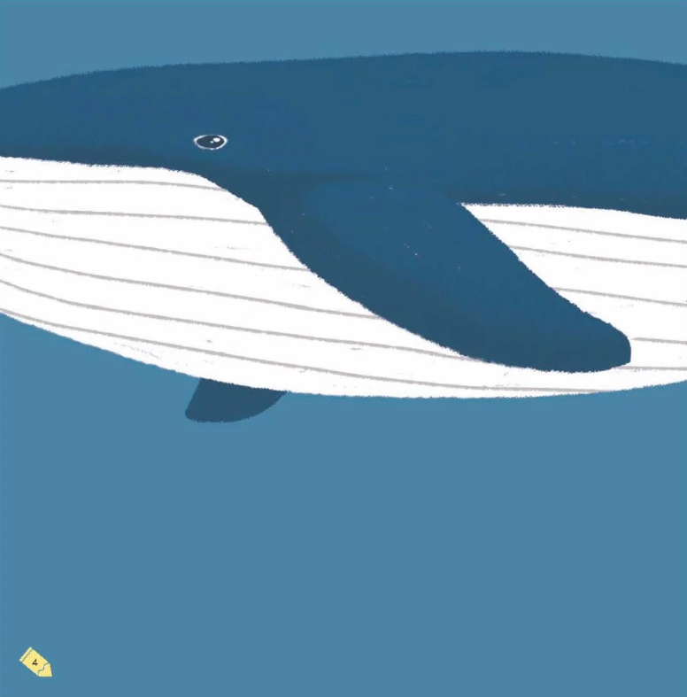 kích thích trí tưởng tượng cho bé - cá voi trông như thế nào? - Ảnh 5