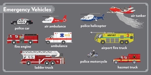 kids' picture show: vehicles - Ảnh 6