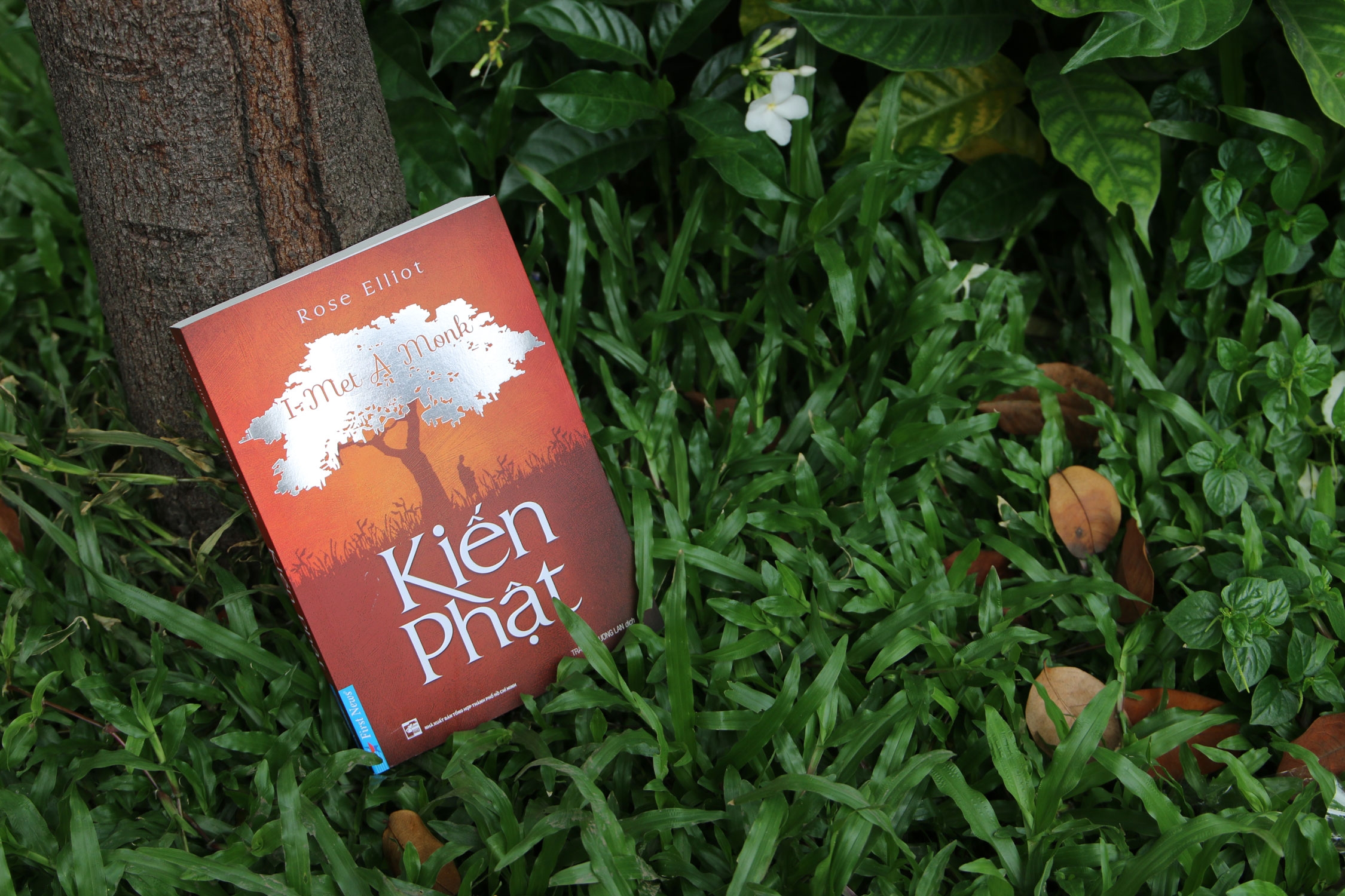 kiến phật - Ảnh 3