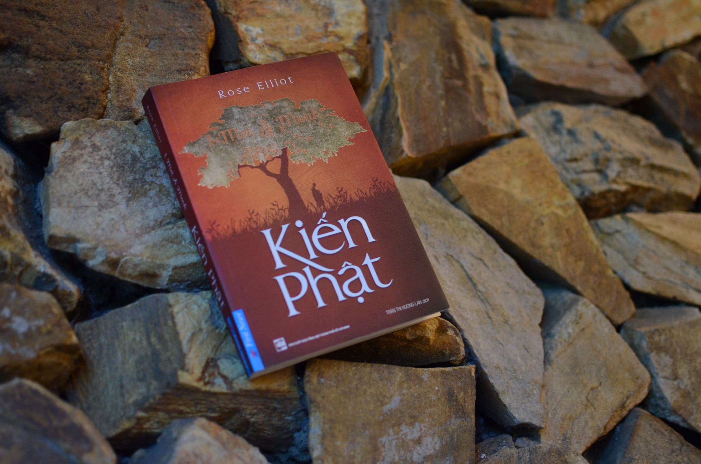 kiến phật - Ảnh 4