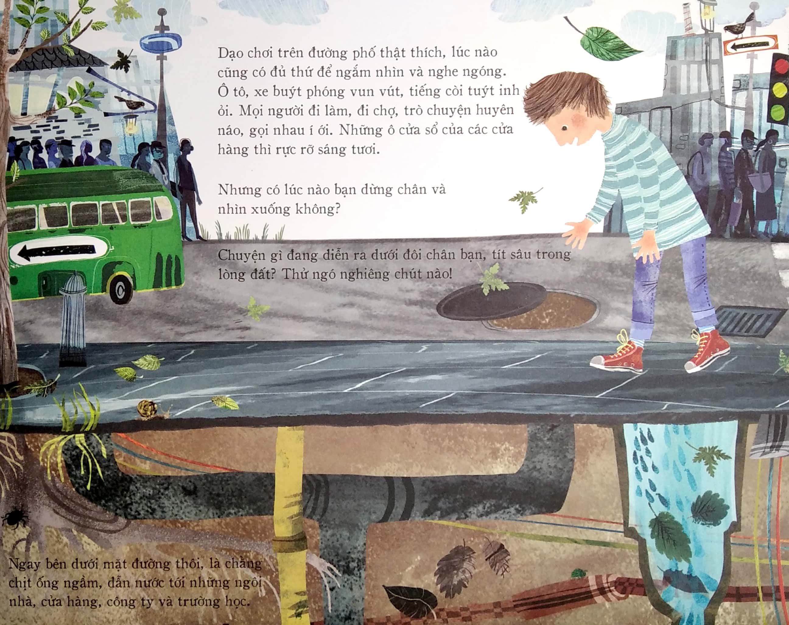 kiến thức bất tận - bí mật lòng đất - Ảnh 3