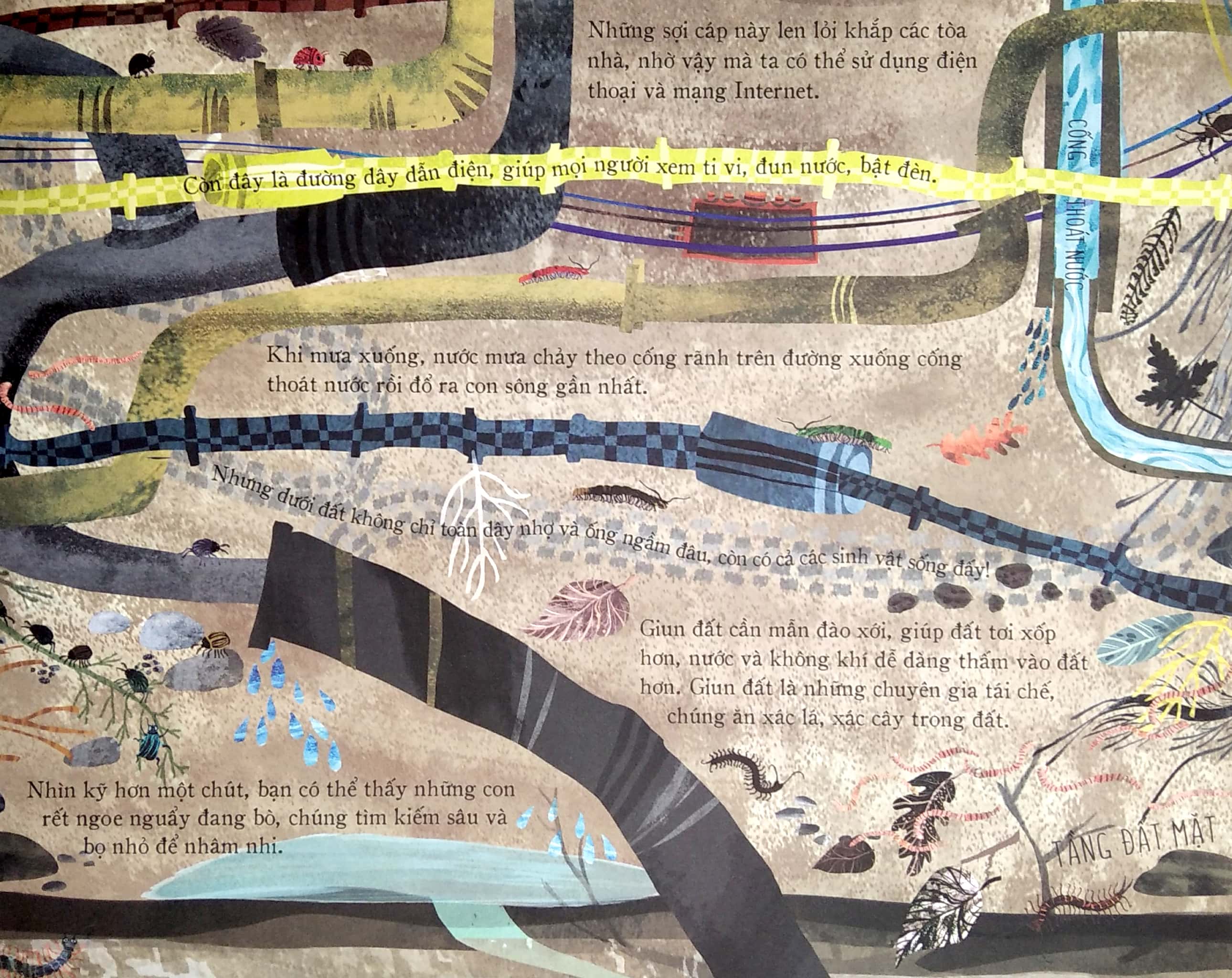 kiến thức bất tận - bí mật lòng đất - Ảnh 4