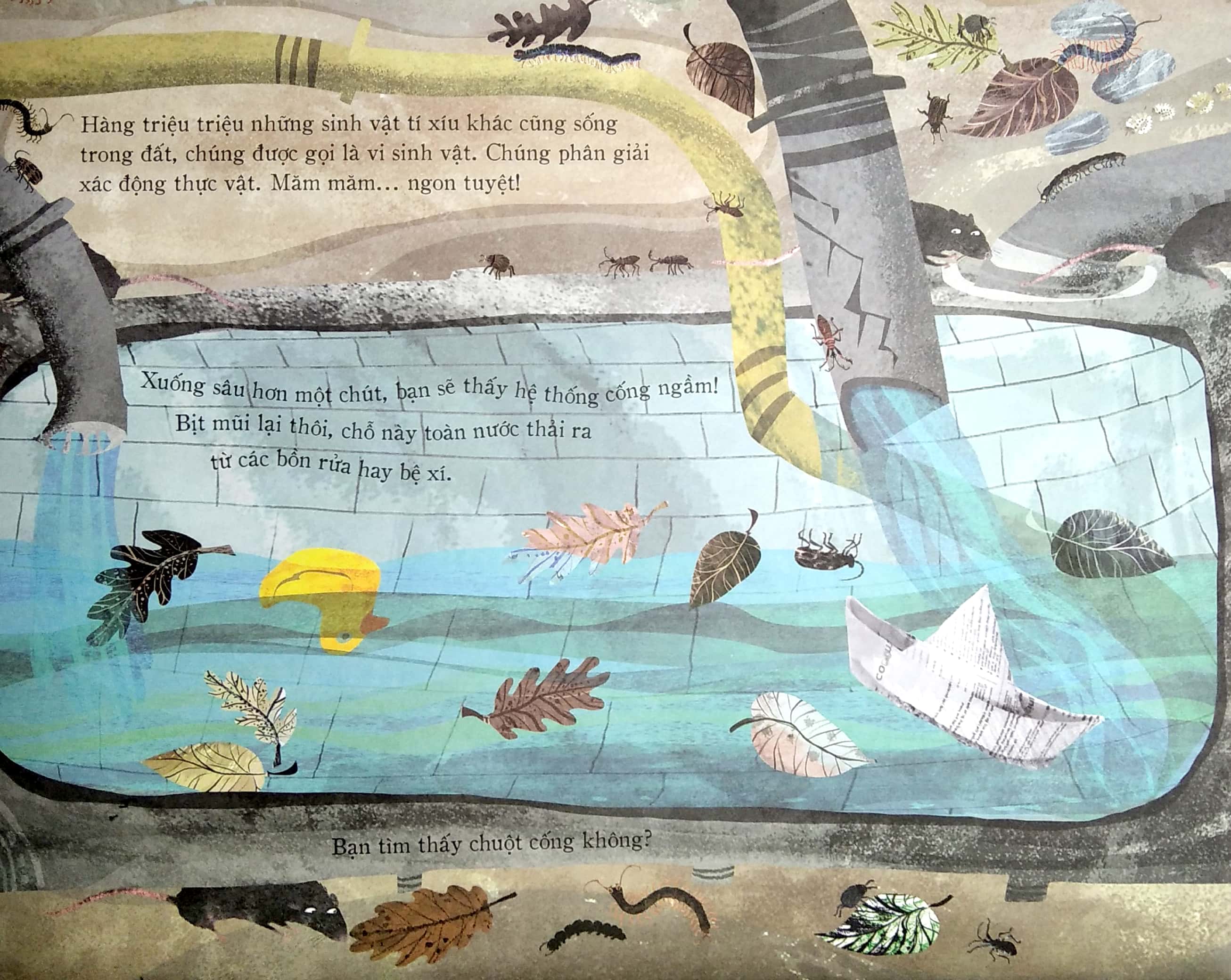 kiến thức bất tận - bí mật lòng đất - Ảnh 5