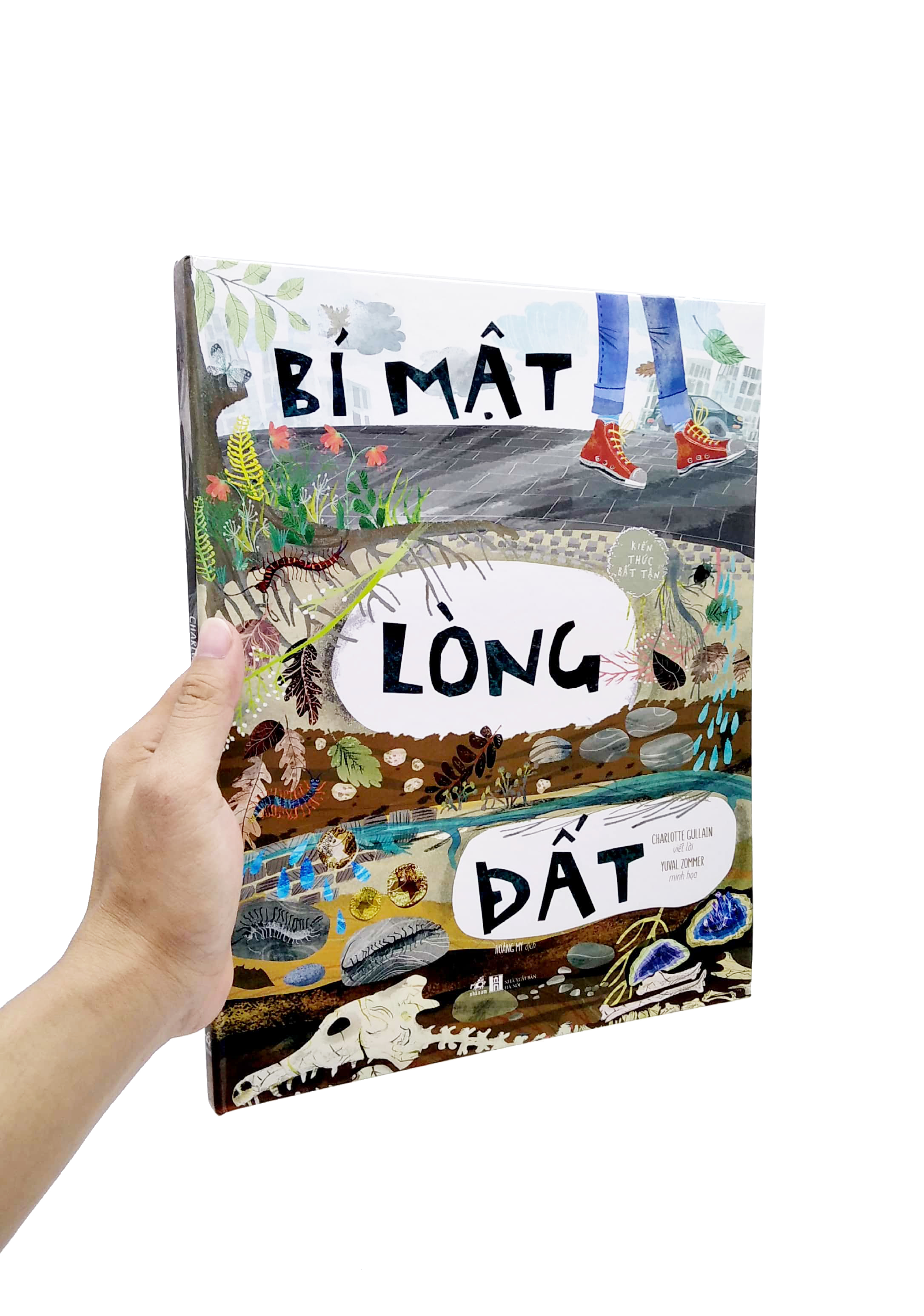 kiến thức bất tận - bí mật lòng đất - Ảnh 7