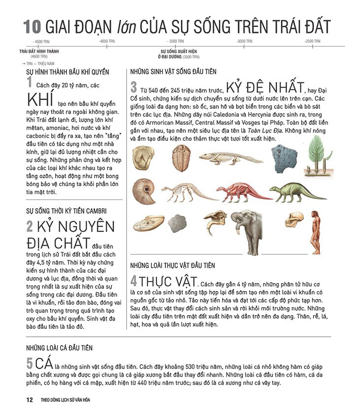 kiến thức căn bản cần biết - theo dòng lịch sử văn hóa - Ảnh 8