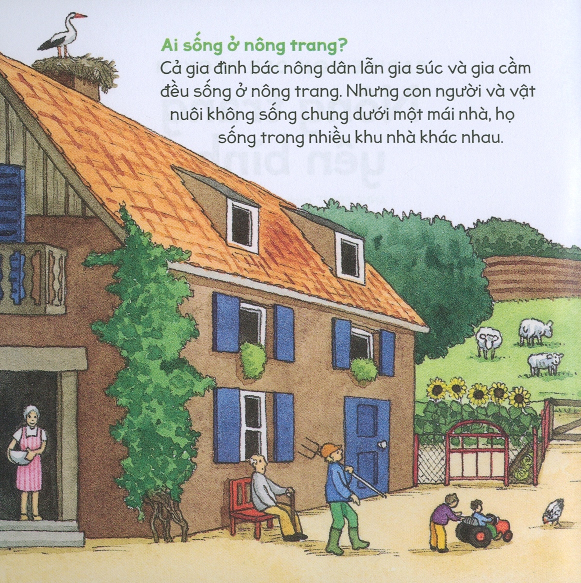 kiến thức tự nhiên xã hội căn bản - nông trang yên bình - Ảnh 3