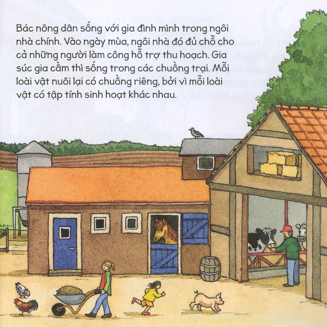 kiến thức tự nhiên xã hội căn bản - nông trang yên bình - Ảnh 4