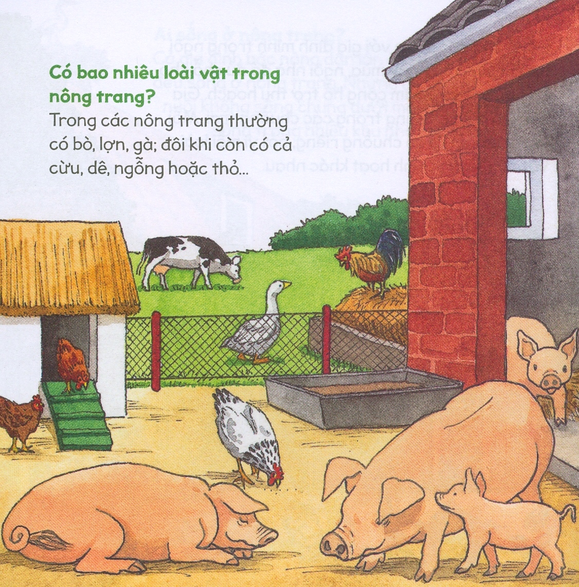 kiến thức tự nhiên xã hội căn bản - nông trang yên bình - Ảnh 5