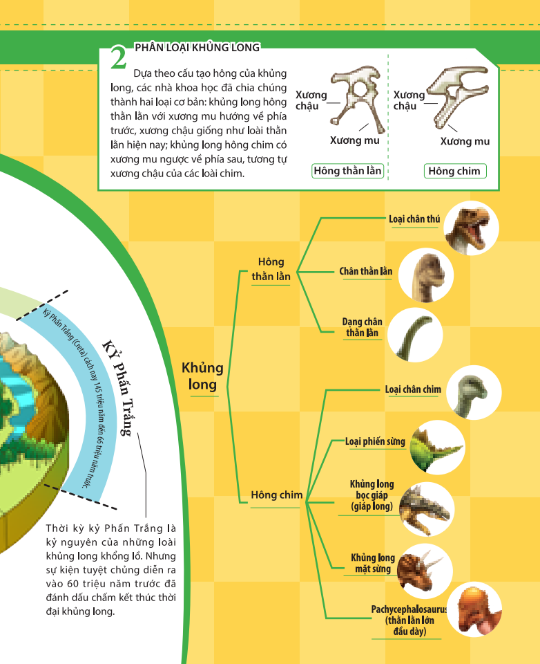 kiến thức về khủng long - cổ khủng long mamenchisaurus dài bao nhiêu? cơ thể khủng long chứa đầy bí mật - Ảnh 7