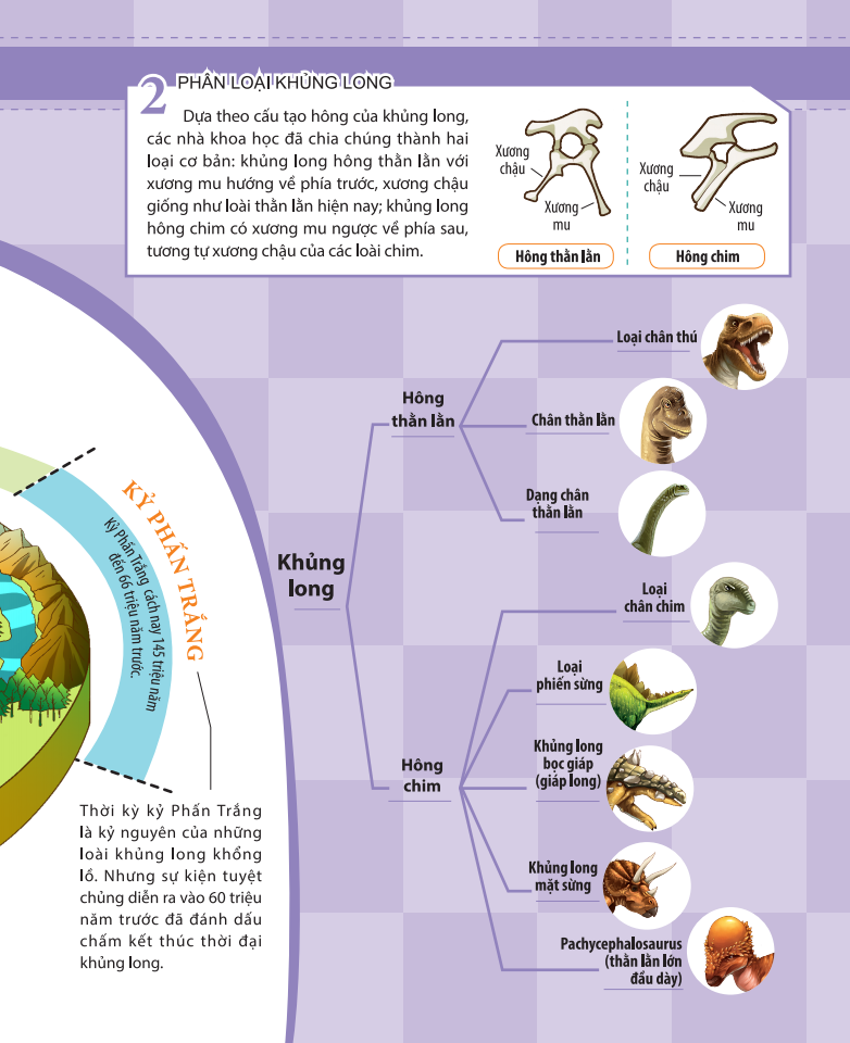 kiến thức về khủng long - khủng long cũng đi nhà trẻ sao? sinh sản và nuôi dưỡng khủng long - Ảnh 7