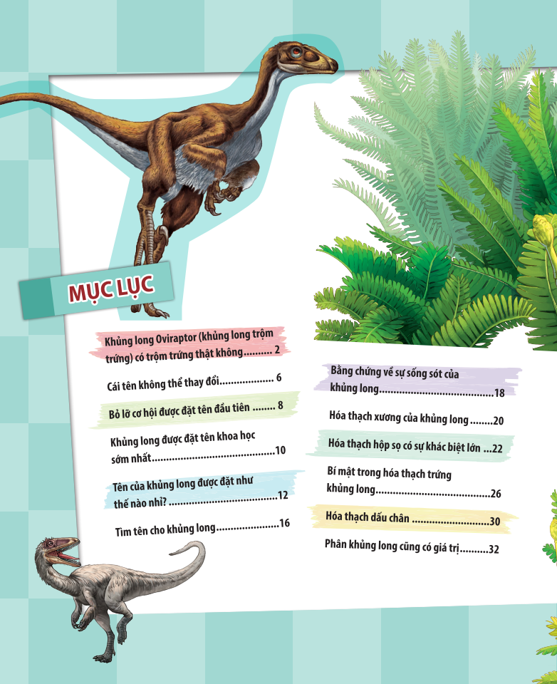 kiến thức về khủng long - khủng long oviraptor có trộm trứng thật không? đặt tên và hoá thạch - Ảnh 3