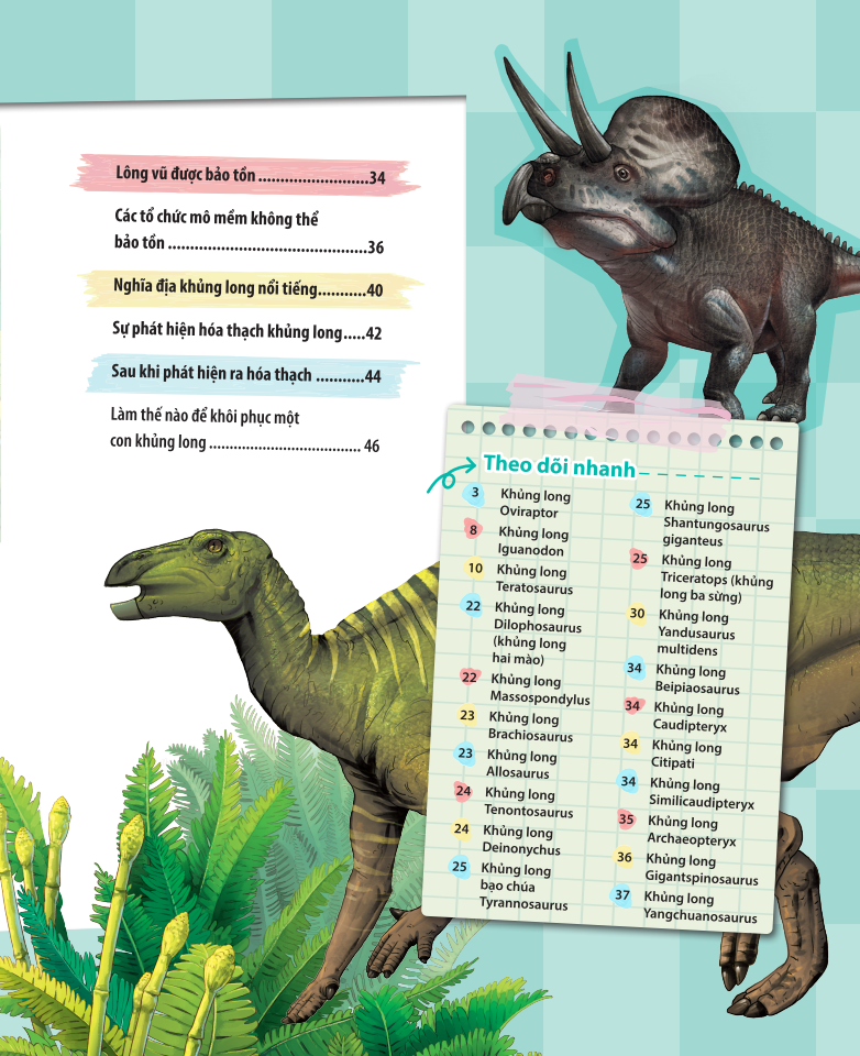 kiến thức về khủng long - khủng long oviraptor có trộm trứng thật không? đặt tên và hoá thạch - Ảnh 4