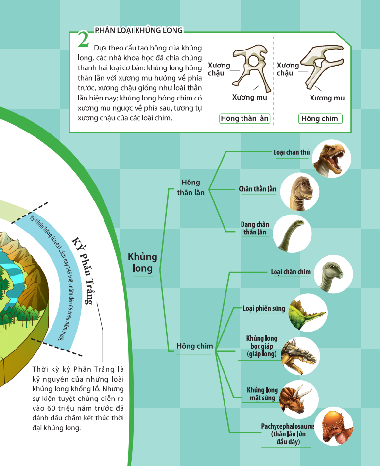 kiến thức về khủng long - khủng long oviraptor có trộm trứng thật không? đặt tên và hoá thạch - Ảnh 7