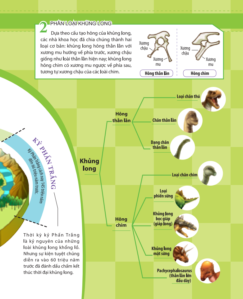 kiến thức về khủng long - khủng long tyrannosaurus rex tại sao được gọi là bạo chúa? tấn công và phòng thủ của khủng long - Ảnh 7