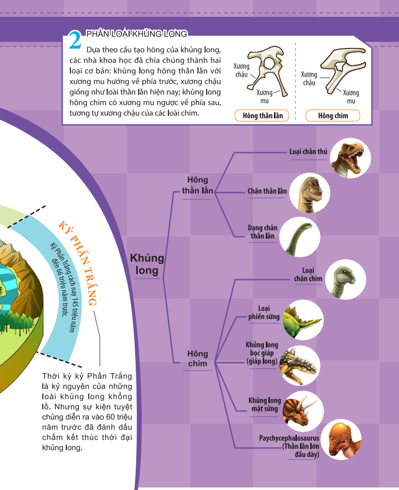 kiến thức về khủng long - sự tuyệt chủng của khủng long. khủng long đi đâu rồi? - Ảnh 7