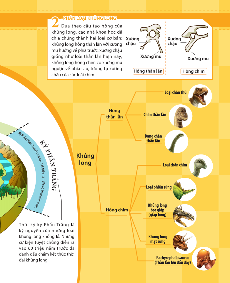 kiến thức về khủng long - tại sao khủng long plateosaurus lại ăn đá? đặc tính ăn uống và tiêu hóa của khủng long - Ảnh 6