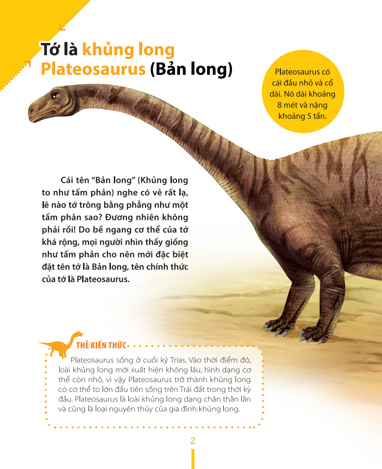 kiến thức về khủng long - tại sao khủng long plateosaurus lại ăn đá? đặc tính ăn uống và tiêu hóa của khủng long - Ảnh 7