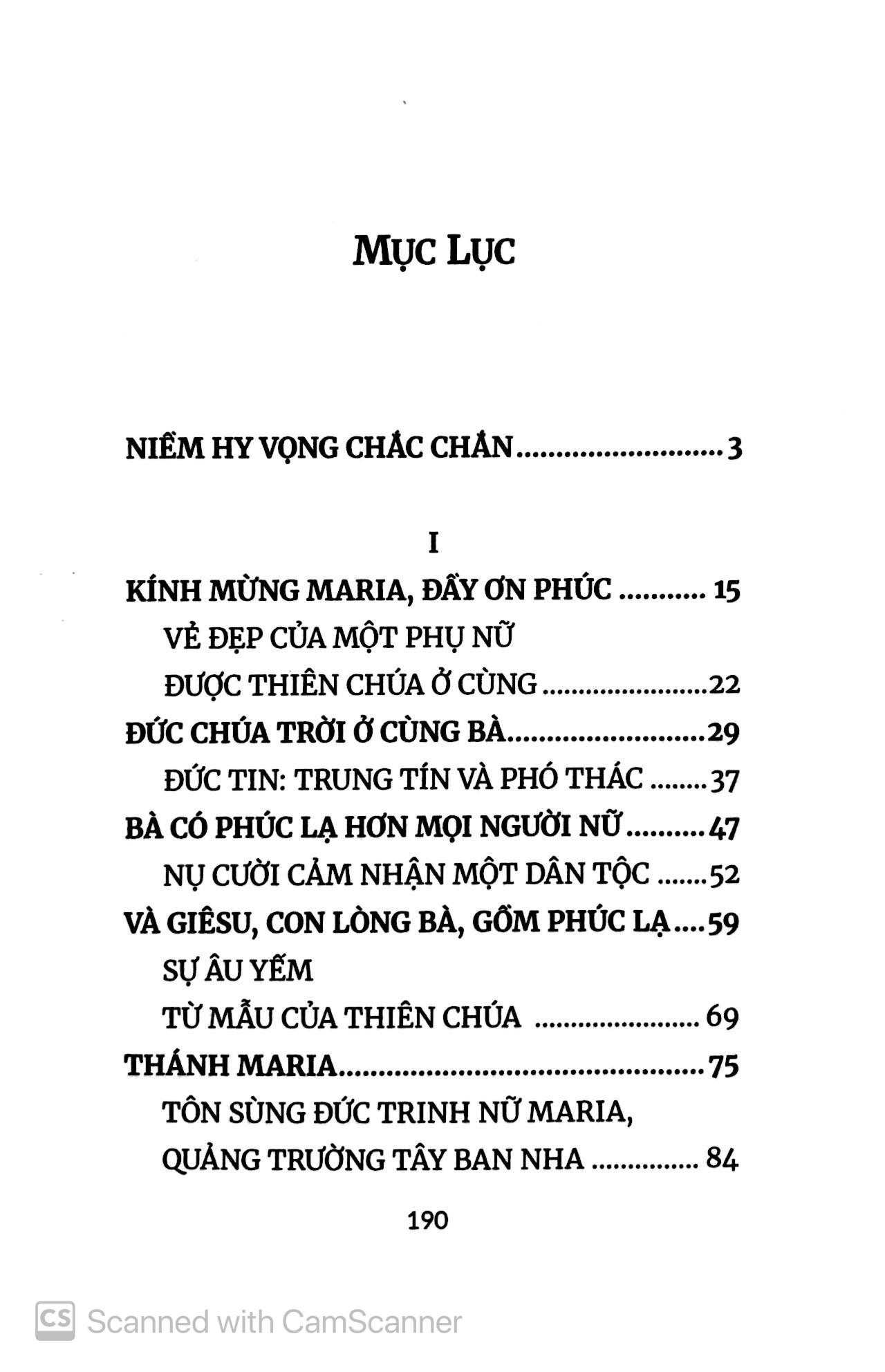 kinh kính mừng - một suy tư mới của đức giáo hoàng phanxicô - Ảnh 3