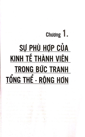kinh tế thành viên - Ảnh 5