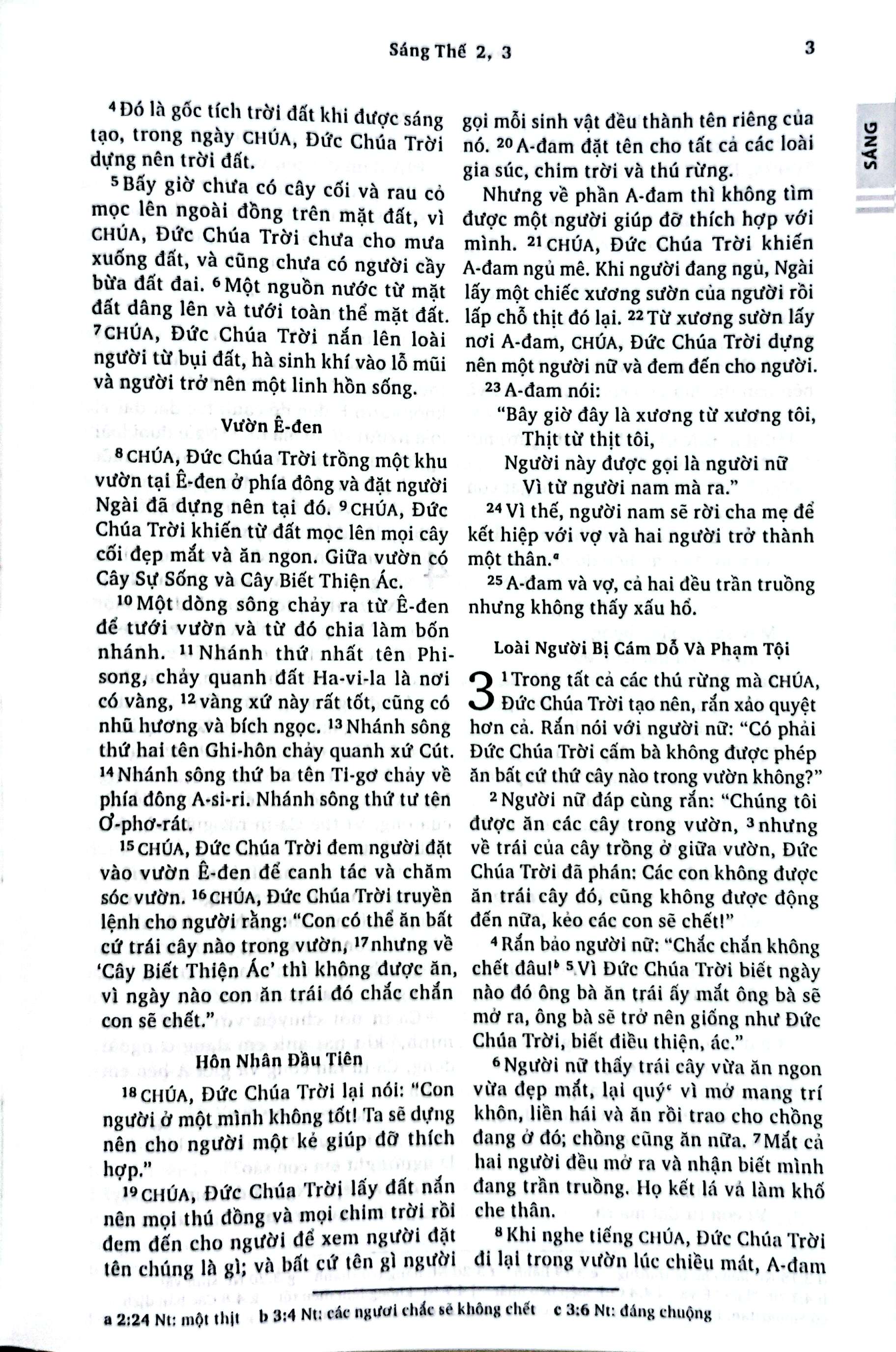 Kinh Thanh Ban Dich Moi - Bia Da - Ảnh 6