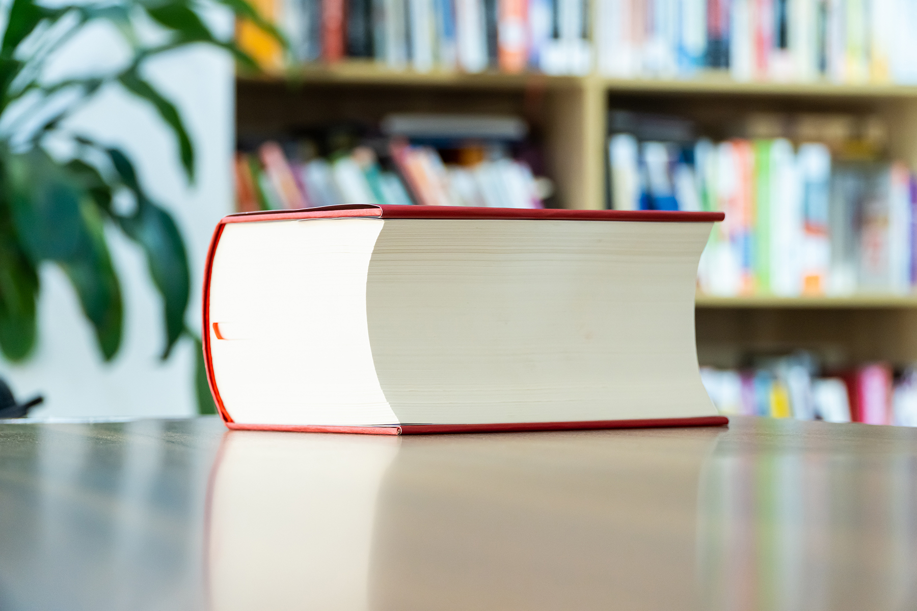 kinh thánh - cựu ước - Ảnh 9