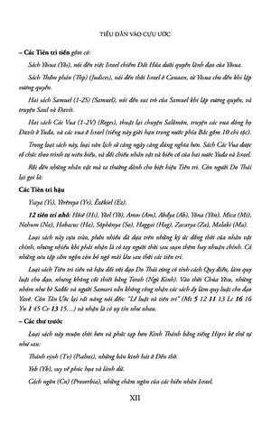 kinh thánh cựu ước - bản đặc biệt - bìa da - Ảnh 14