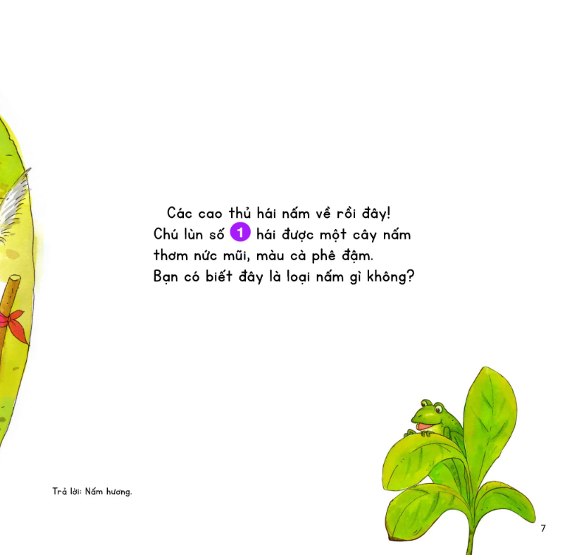 kính vạn hoa thiên nhiên - cuộc thi ở làng nấm - Ảnh 6