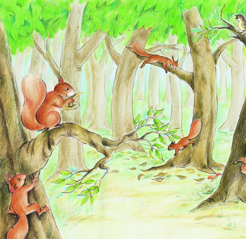 kính vạn hoa thiên nhiên - sóc con qua đường - Ảnh 3