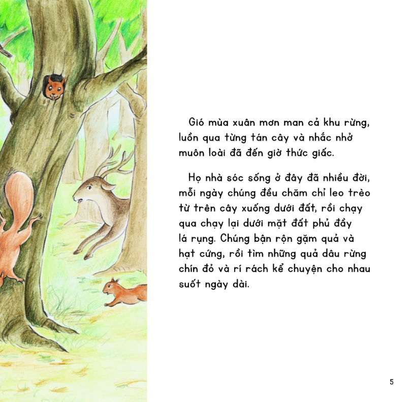 kính vạn hoa thiên nhiên - sóc con qua đường - Ảnh 4