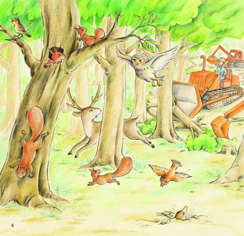 kính vạn hoa thiên nhiên - sóc con qua đường - Ảnh 5