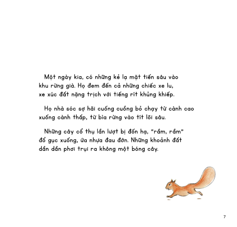 kính vạn hoa thiên nhiên - sóc con qua đường - Ảnh 6