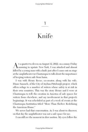 knife - meditations after an attempted murder - Ảnh 4