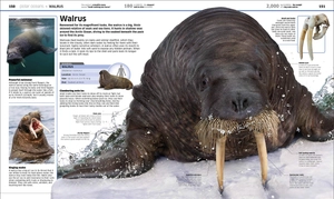 knowledge encyclopedia ocean!: our watery world as you've never seen it before - Ảnh 10