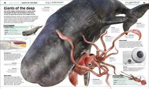 knowledge encyclopedia ocean!: our watery world as you've never seen it before - Ảnh 5