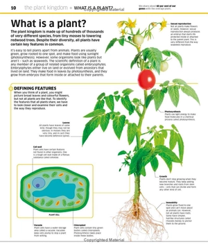 knowledge encyclopedia - plants and fungi - Ảnh 11