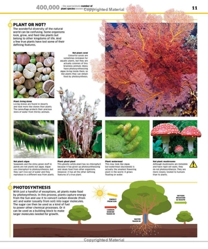 knowledge encyclopedia - plants and fungi - Ảnh 12