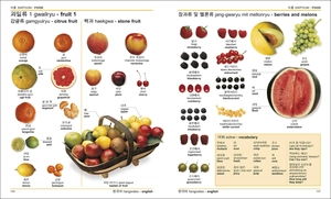 korean-english bilingual visual dictionary - Ảnh 5
