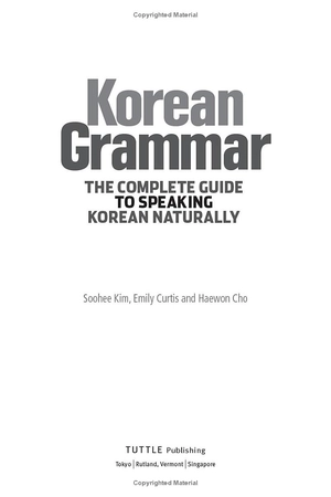 korean grammar - the complete guide to speaking korean naturally - Ảnh 4