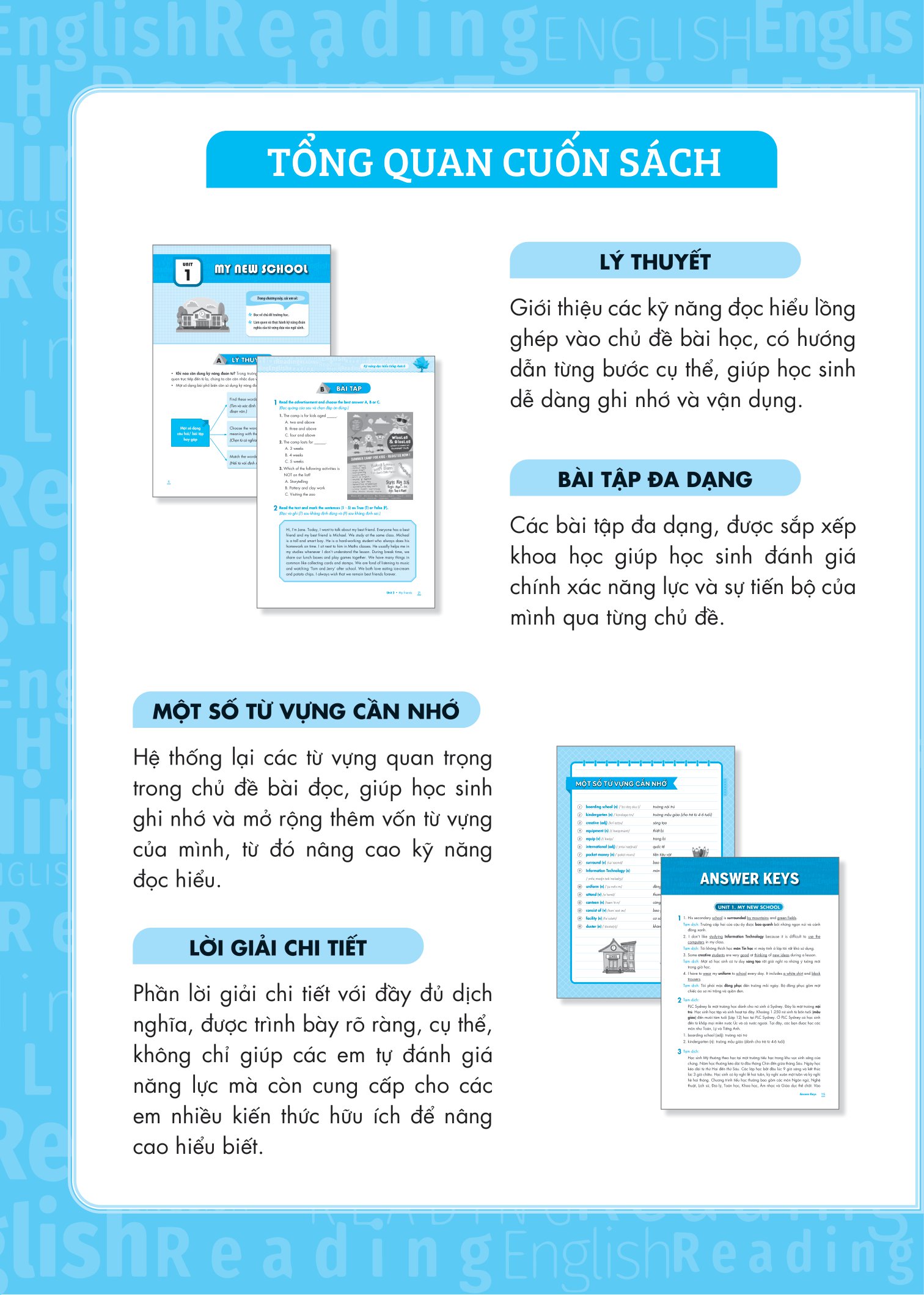 kỹ năng đọc hiểu tiếng anh lớp 6 - Ảnh 3