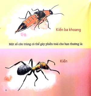 kỹ năng sống cho trẻ - xử lý khi bị côn trùng đốt - Ảnh 4