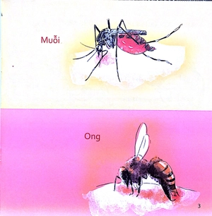 kỹ năng sống cho trẻ - xử lý khi bị côn trùng đốt - Ảnh 5