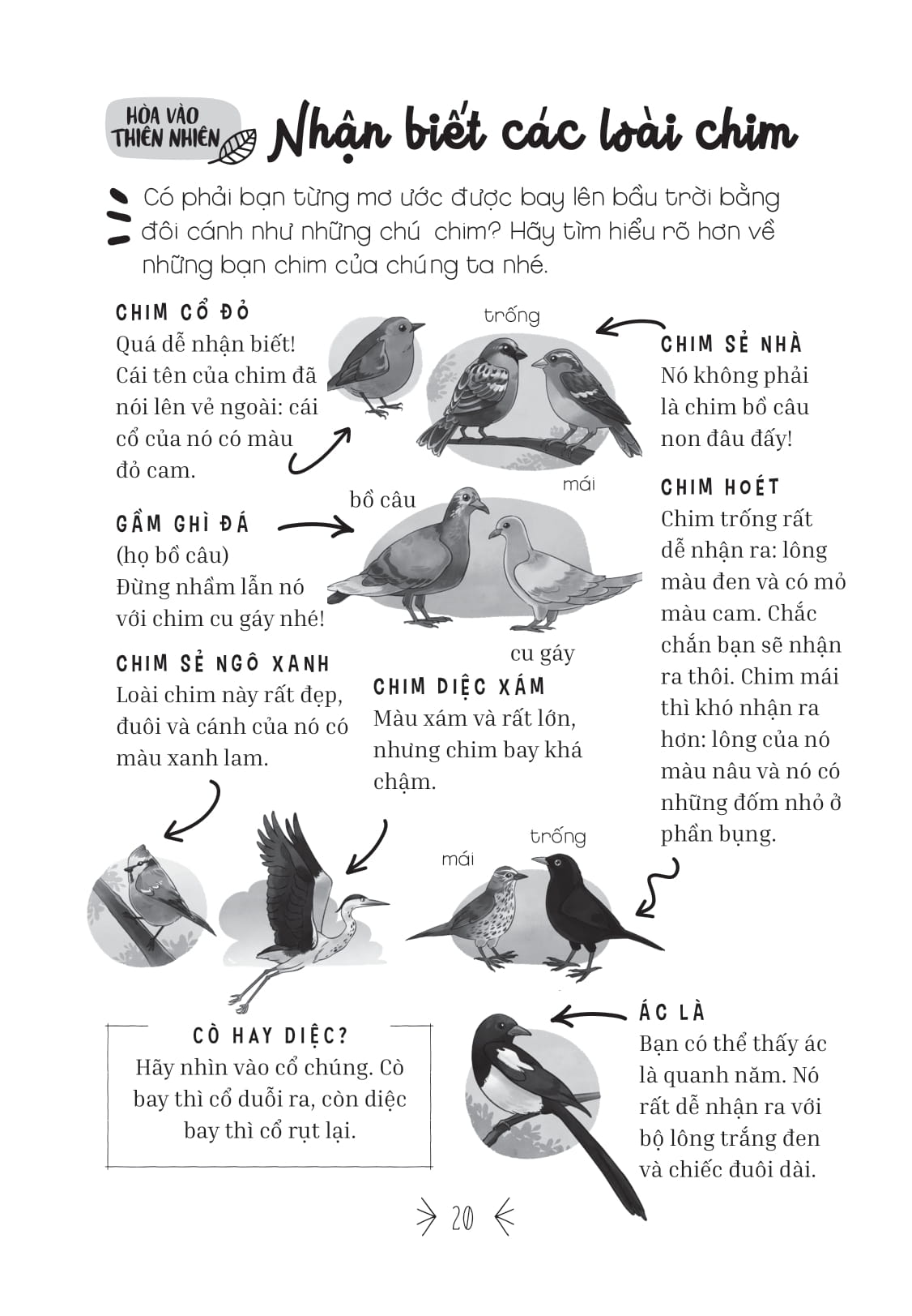 kỹ năng sống dành cho học sinh - mẹo cực hay - hội đam mê "xê dịch" - Ảnh 10