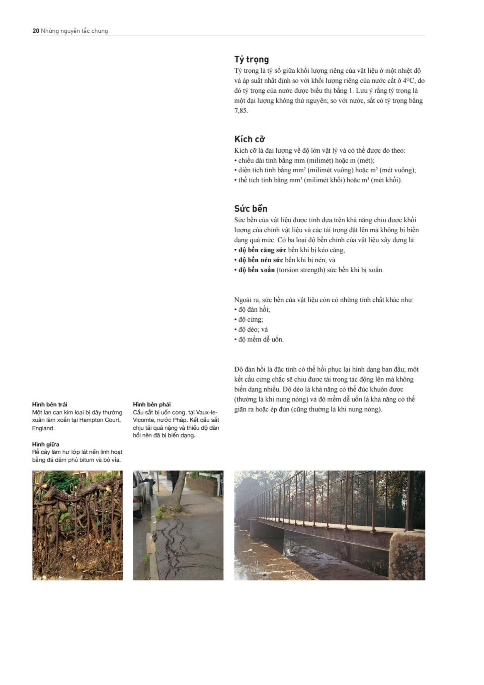 Kỹ Thuật Kiến Trúc Cảnh Quan - Ảnh 17