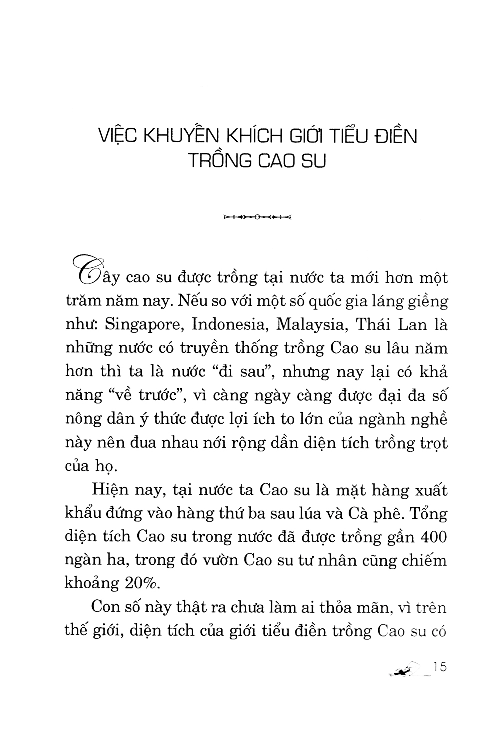 kỹ thuật trồng cây cao su với diện tích nhỏ - Ảnh 11