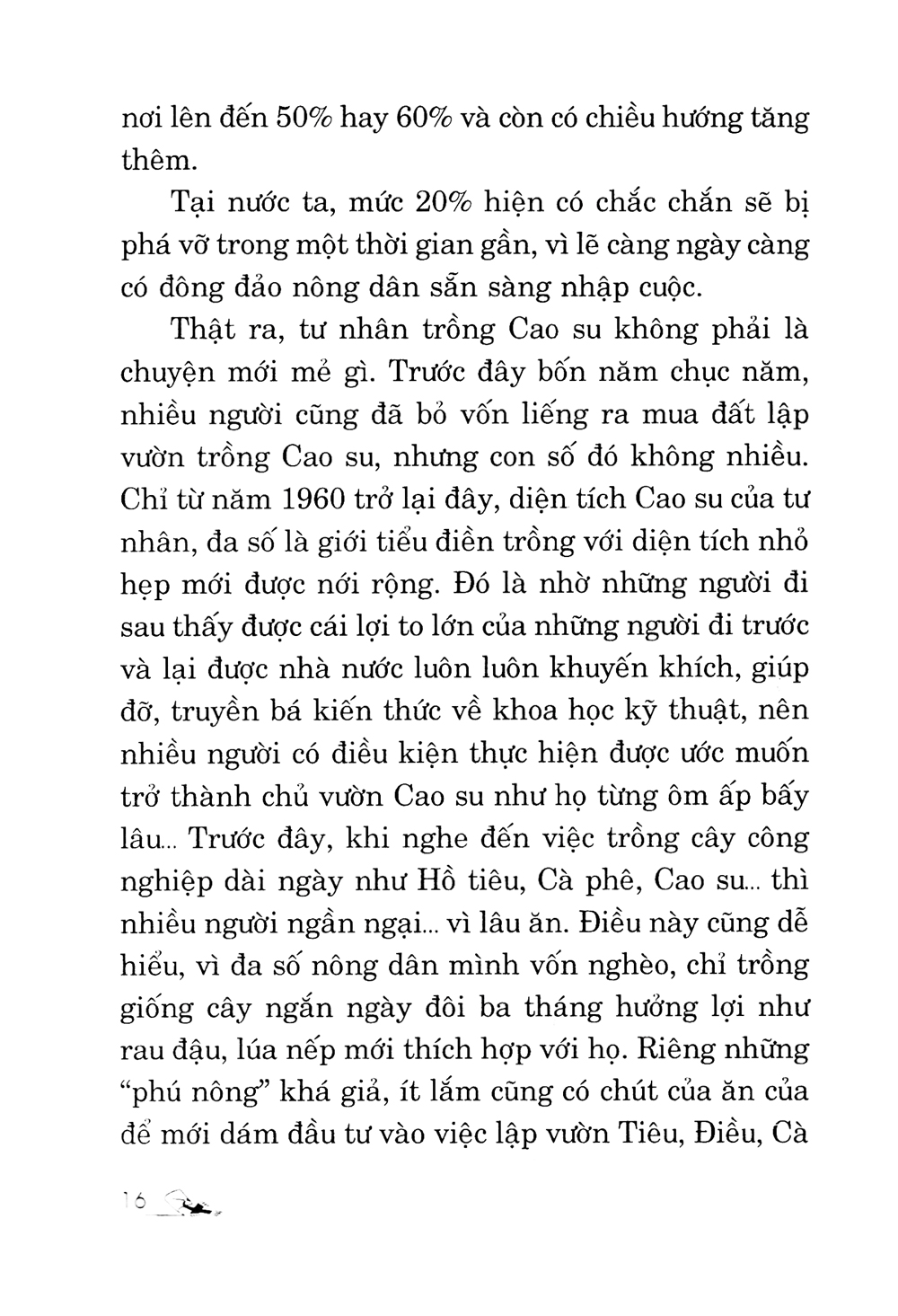 kỹ thuật trồng cây cao su với diện tích nhỏ - Ảnh 12