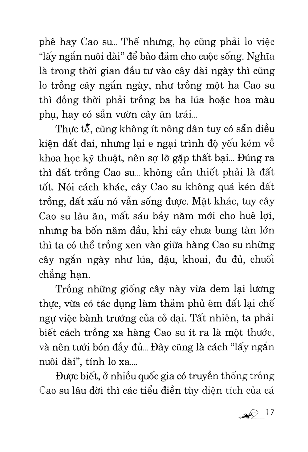 kỹ thuật trồng cây cao su với diện tích nhỏ - Ảnh 13