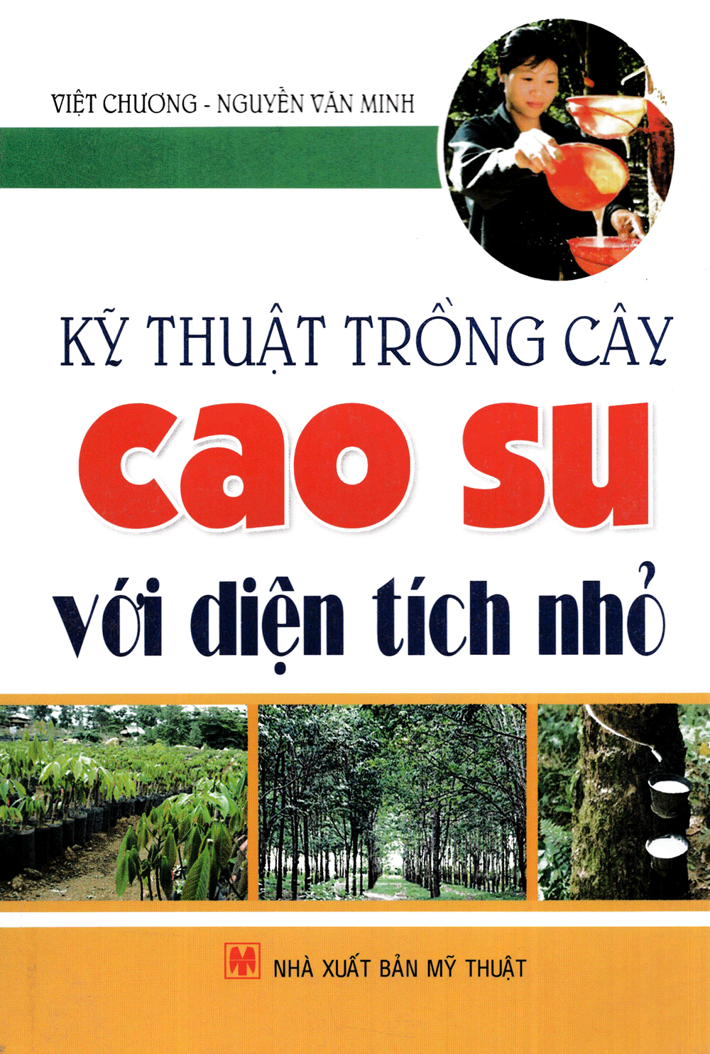 kỹ thuật trồng cây cao su với diện tích nhỏ - Ảnh 3