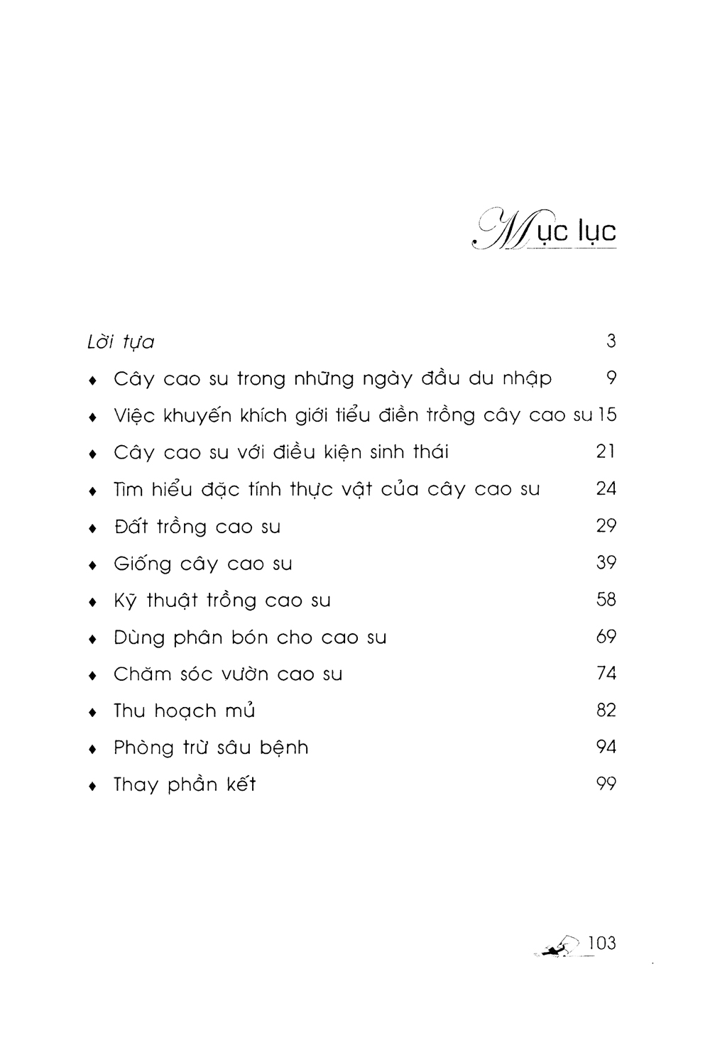 kỹ thuật trồng cây cao su với diện tích nhỏ - Ảnh 4