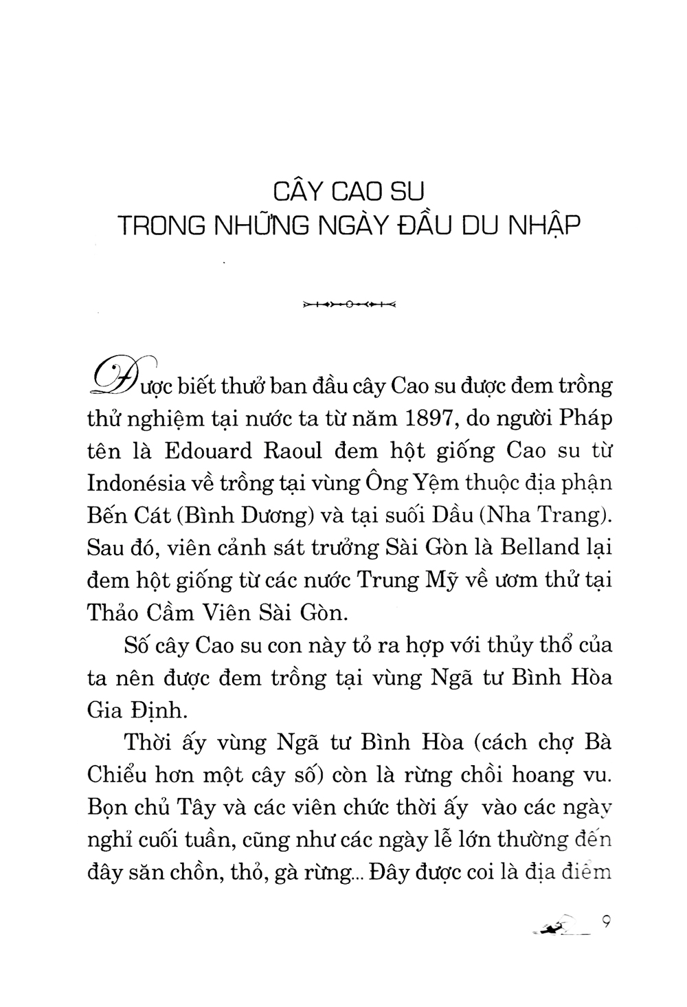 kỹ thuật trồng cây cao su với diện tích nhỏ - Ảnh 5