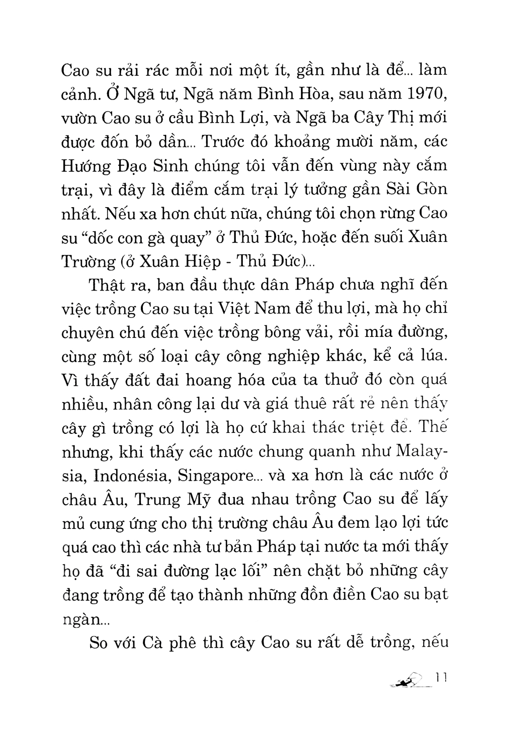 kỹ thuật trồng cây cao su với diện tích nhỏ - Ảnh 7